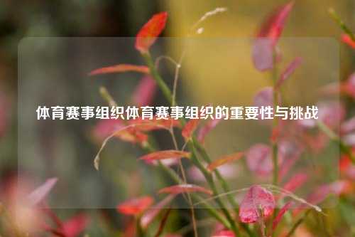体育赛事组织体育赛事组织的重要性与挑战