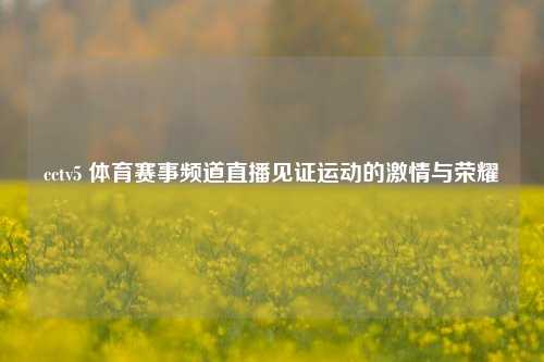 cctv5 体育赛事频道直播见证运动的激情与荣耀