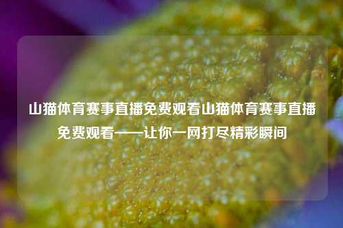 山猫体育赛事直播免费观看山猫体育赛事直播免费观看——让你一网打尽精彩瞬间