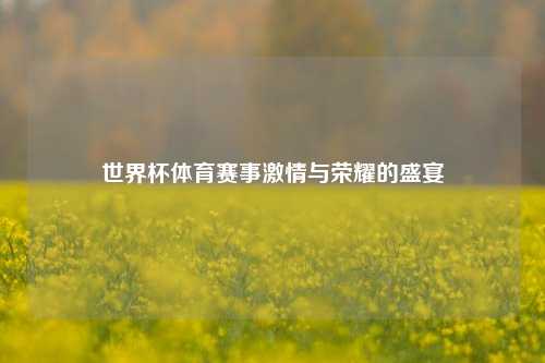 世界杯体育赛事激情与荣耀的盛宴