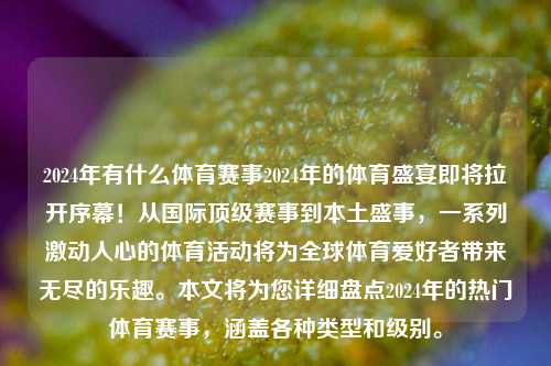 2024年有什么体育赛事2024年的体育盛宴即将拉开序幕！从国际顶级赛事到本土盛事，一系列激动人心的体育活动将为全球体育爱好者带来无尽的乐趣。本文将为您详细盘点2024年的热门体育赛事，涵盖各种类型和级别。