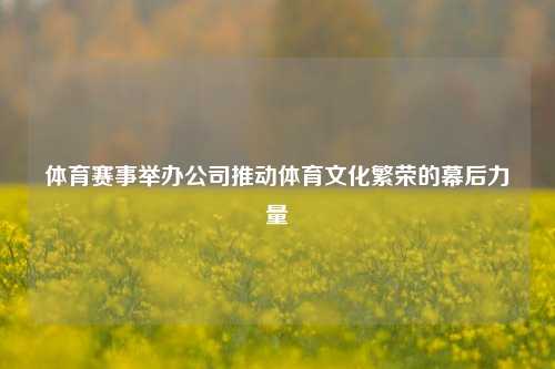 体育赛事举办公司推动体育文化繁荣的幕后力量