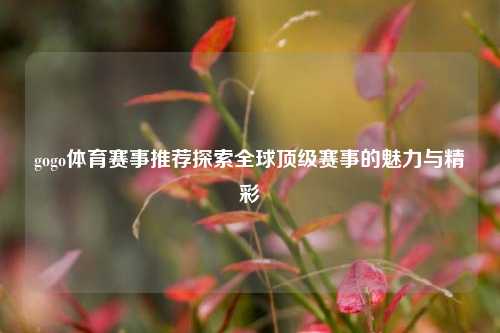 gogo体育赛事推荐探索全球顶级赛事的魅力与精彩