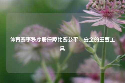 体育赛事秩序册保障比赛公平、安全的重要工具