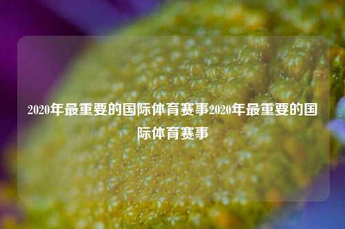 2020年最重要的国际体育赛事2020年最重要的国际体育赛事