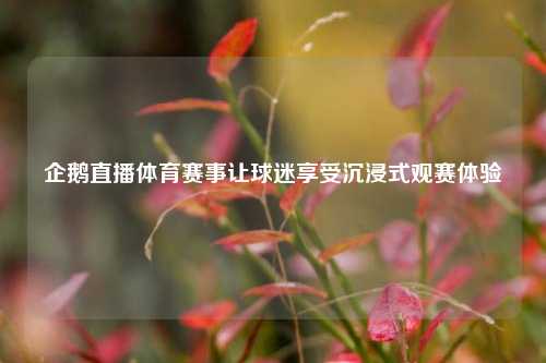 企鹅直播体育赛事让球迷享受沉浸式观赛体验