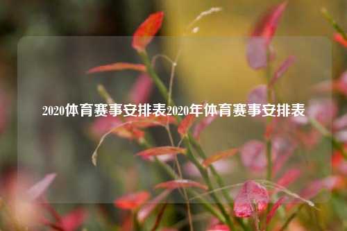 2020体育赛事安排表2020年体育赛事安排表