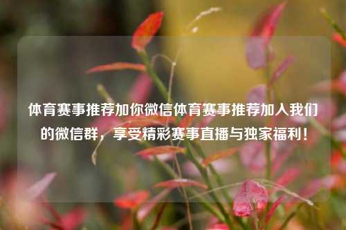 体育赛事推荐加你微信体育赛事推荐加入我们的微信群，享受精彩赛事直播与独家福利！