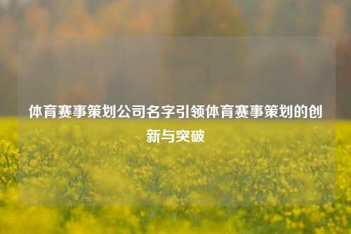 体育赛事策划公司名字引领体育赛事策划的创新与突破