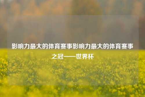 影响力最大的体育赛事影响力最大的体育赛事之冠——世界杯