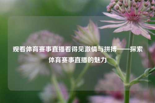 观看体育赛事直播看得见激情与拼搏——探索体育赛事直播的魅力