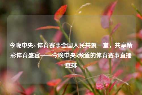 今晚中央5 体育赛事全国人民共聚一堂，共享精彩体育盛宴——今晚中央5频道的体育赛事直播安排