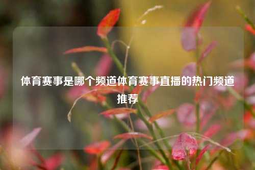 体育赛事是哪个频道体育赛事直播的热门频道推荐