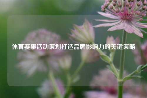体育赛事活动策划打造品牌影响力的关键策略