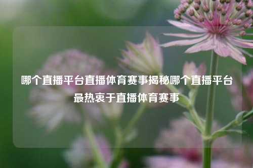 哪个直播平台直播体育赛事揭秘哪个直播平台最热衷于直播体育赛事