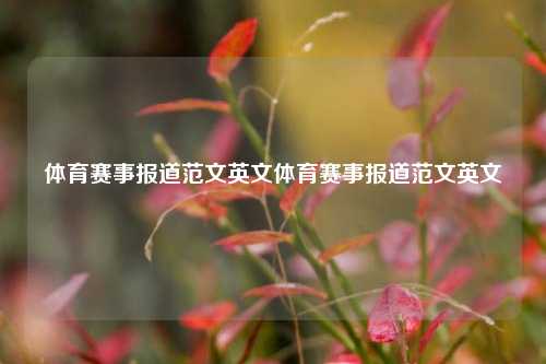 体育赛事报道范文英文体育赛事报道范文英文