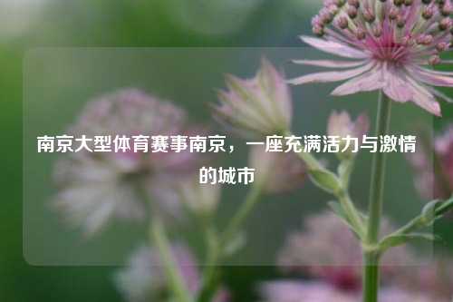 南京大型体育赛事南京，一座充满活力与激情的城市