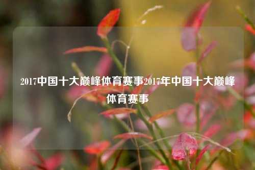 2017中国十大巅峰体育赛事2017年中国十大巅峰体育赛事