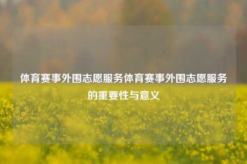 体育赛事外围志愿服务体育赛事外围志愿服务的重要性与意义
