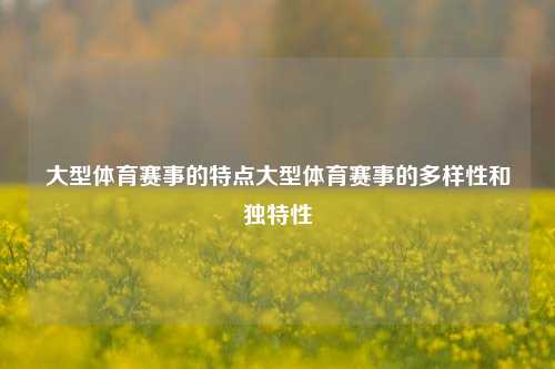 大型体育赛事的特点大型体育赛事的多样性和独特性