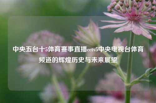 中央五台十5体育赛事直播cctv5中央电视台体育频道的辉煌历史与未来展望
