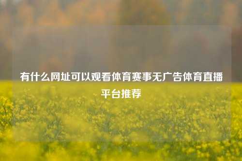 有什么网址可以观看体育赛事无广告体育直播平台推荐