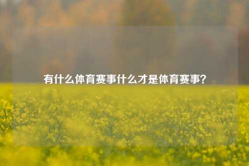 有什么体育赛事什么才是体育赛事？
