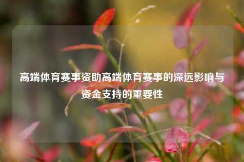 高端体育赛事资助高端体育赛事的深远影响与资金支持的重要性