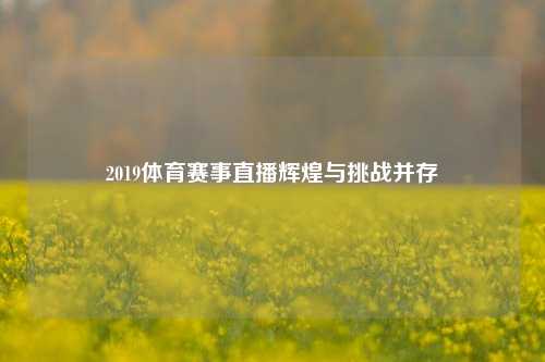 2019体育赛事直播辉煌与挑战并存