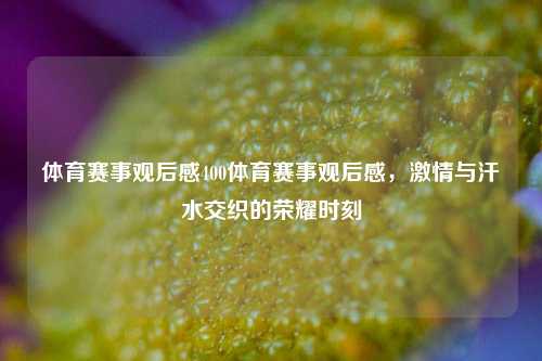 体育赛事观后感400体育赛事观后感，激情与汗水交织的荣耀时刻