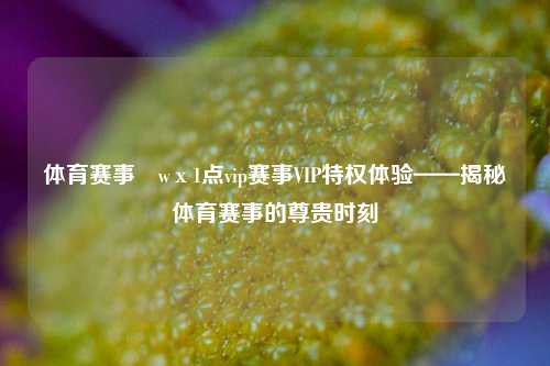体育赛事茞wх1点vip赛事VIP特权体验——揭秘体育赛事的尊贵时刻