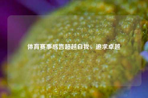 体育赛事感言超越自我，追求卓越