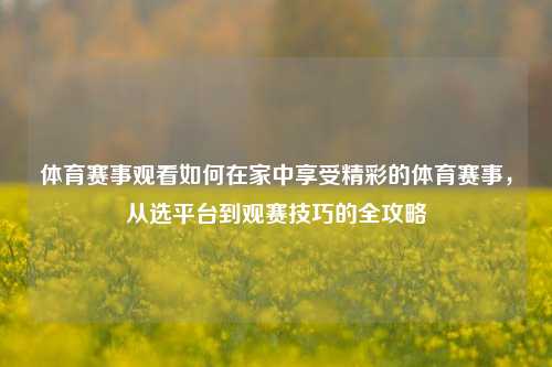 体育赛事观看如何在家中享受精彩的体育赛事，从选平台到观赛技巧的全攻略