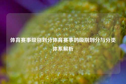 体育赛事级别划分体育赛事的级别划分与分类体系解析