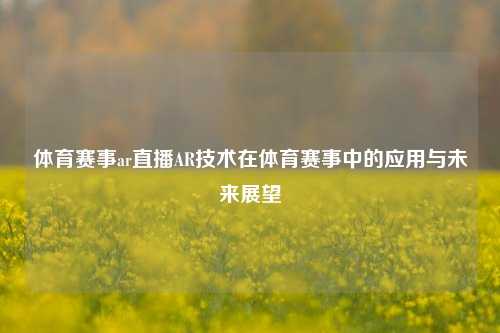 体育赛事ar直播AR技术在体育赛事中的应用与未来展望