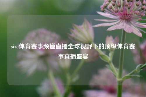 size体育赛事频道直播全球视野下的顶级体育赛事直播盛宴