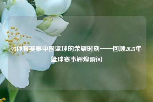 93体育赛事中国篮球的荣耀时刻——回顾2023年篮球赛事辉煌瞬间
