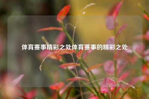 体育赛事精彩之处体育赛事的精彩之处