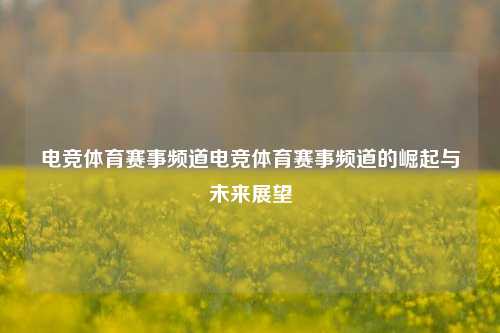 电竞体育赛事频道电竞体育赛事频道的崛起与未来展望