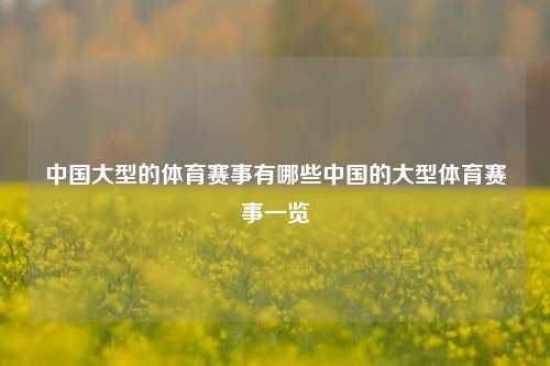 中国大型的体育赛事有哪些中国的大型体育赛事一览