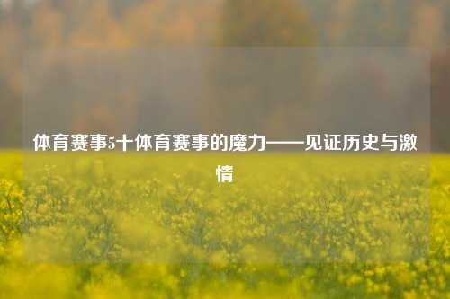 体育赛事5十体育赛事的魔力——见证历史与激情