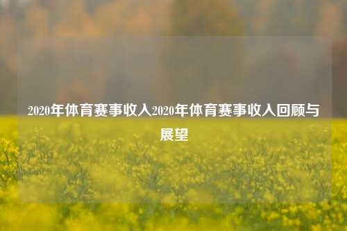 2020年体育赛事收入2020年体育赛事收入回顾与展望
