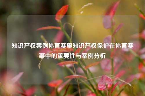 知识产权案例体育赛事知识产权保护在体育赛事中的重要性与案例分析