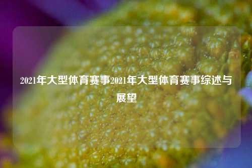 2021年大型体育赛事2021年大型体育赛事综述与展望