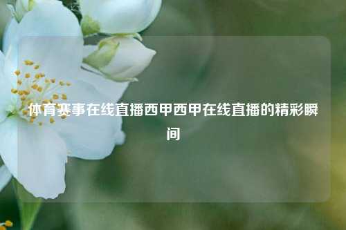 体育赛事在线直播西甲西甲在线直播的精彩瞬间