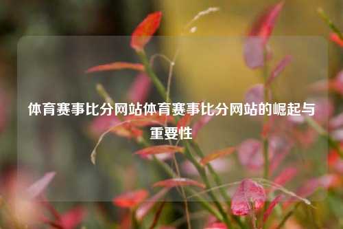体育赛事比分网站体育赛事比分网站的崛起与重要性