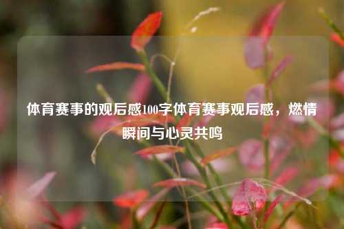 体育赛事的观后感100字体育赛事观后感，燃情瞬间与心灵共鸣