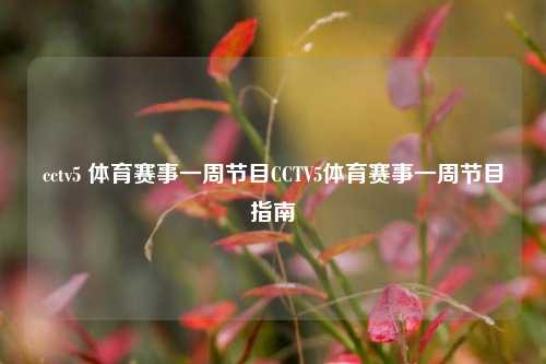 cctv5 体育赛事一周节目CCTV5体育赛事一周节目指南