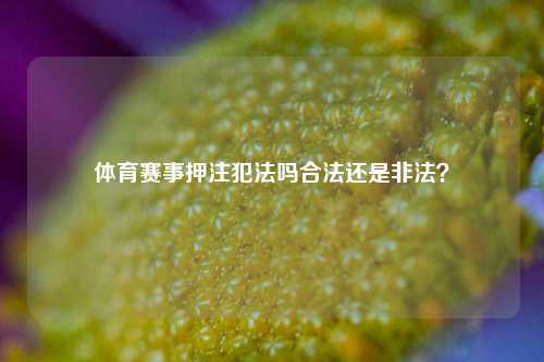 体育赛事押注犯法吗合法还是非法？
