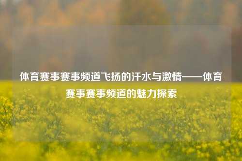 体育赛事赛事频道飞扬的汗水与激情——体育赛事赛事频道的魅力探索